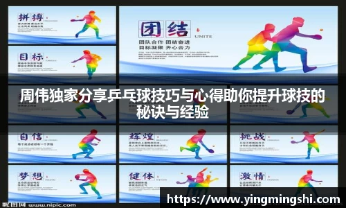 周伟独家分享乒乓球技巧与心得助你提升球技的秘诀与经验